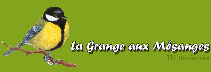 La grange aux Mésanges