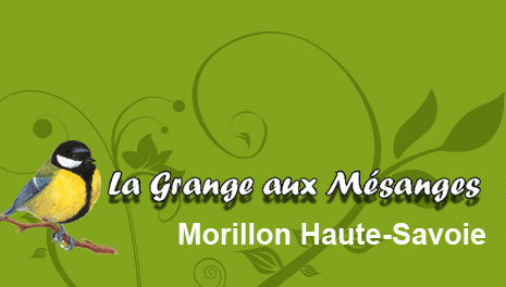 Logo du gîte la Grange aux Mésanges